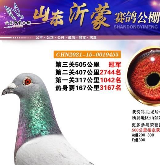 华体会vip注册-欧预赛冠军走势扑朔迷离，谁将夺魁？