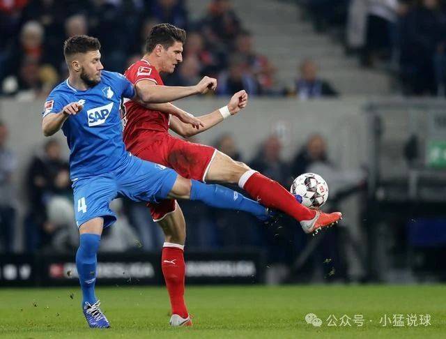 华体会官网app-关于霍芬海姆客胜告捷，德甲豪门震惊的信息